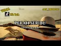 PECAH SERIBU - ELVY SUKAESIH cover by Riswandi (Lirik)