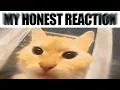 Discord Gifs In A Nutshell 3