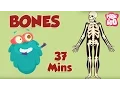 Best Learning s For Kids The Dr Binocs Show Fun Learning s For Kids By Peekaboo Kids