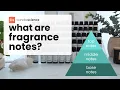 What are Fragrance Notes Learn how to describe scents using fragrance notes