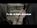 Lagu Slowed x Reverb Lofi Song - Tu Na Ja Mere Badshah | 90s love songs  | Alka Yagnik 