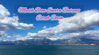 relaksasi cuaca cerah dan nyaring suara burung omrat tambak