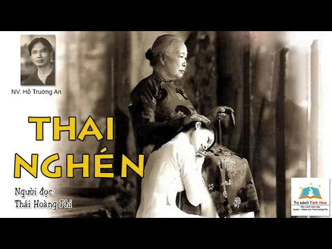 Download MP3 THAI NGHÉN (Đã sửa). Tác giả: NV. Hồ Trường An. Người đọc: Thái Hoàng Phi