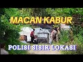 Download Lagu HEBOH...POLISI CARI MACAN YANG KABUR DI LEMBANG PARK ZOO