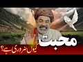 Download Lagu Mohabbat Kyun Zaroori Hai? LOVE Secrets - Sahibzada Asim Maharvi