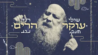 שולי רנד עוקר הרים 