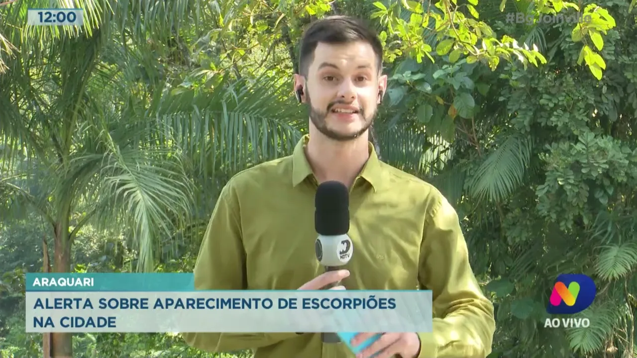 Araquari: alerta sobre aparecimento de escorpiões na cidade