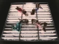 Download Lagu The 411 - Dumb (Video)