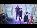 Footage Ball Pythons valued close to 2 000 stolen from Stockton pet store