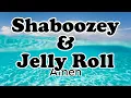 Download Lagu Shaboozey, Jelly Roll - Amen- OFFICIAL MUSIC- Lyrics