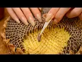 Download Lagu ASMR of a Sunflower Head (No Talking)