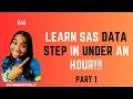SAS DATA STEP Crash Course Learn SAS in Under an Hour