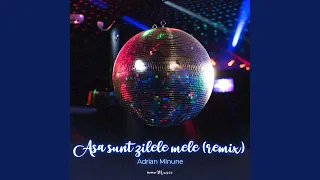 Download Asa Sunt Zilele Mele (Remix) MP3