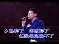 张学友 - 夕阳醉了(Live)
