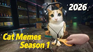 Cat Memes 2026 Season 1