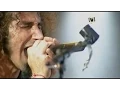 Download Lagu System Of A Down - Deer Dance live (HD/DVD Quality)