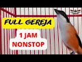 Download Lagu CENDET ISIAN GEREJA TARUNG (DURASI PANJANG)