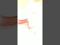 Download Lagu JEDAG JEDUG DJ SENYUMAN MU || LAGI TREND \u0026 VIRAL 😱 || JUYYPUTRII ❤️😍