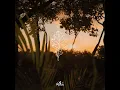 Ochre - Peter Bark