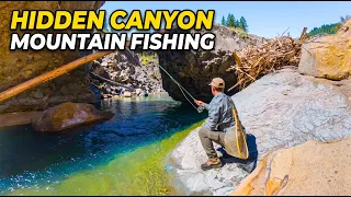 Fishing in a Remote Canyon for Mountain Trout!