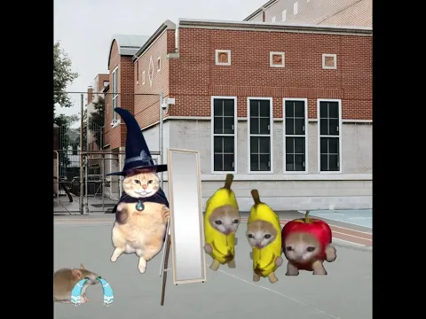 Baby Banana Cat Clone & Elgatito School Day 🐱🎒