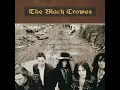 Thorn In My Pride - The Black Crowes