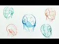 How to Easily Draw Heads Understanding the Loomis Method