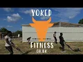 Yoked Fitness