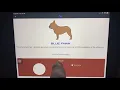 Dog of coat color DNA calculator