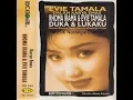 Download Lagu EVIE TAMALA  --  TEMAN BIASA