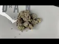 AMARENA DE LIMON VS MAYBACH ZOOTIEZ VISUALS
