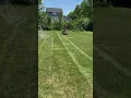 Download Lagu The Hustler Raptor XDX 48” Zero Turn mower putting in work on a residential backyard 💪