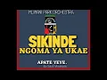 Download Lagu Mlimani Park Orchestra_Apate yeye-Official Audio by Said Msakala.
