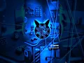 Download Lagu DJ TOMBO ATI BASS GLER #masukberanda #trending #shorts #djsholawat #tomboati #bassboosted