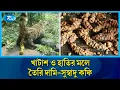 Download Lagu খাটাশ বিড়াল ও হাতির মল থেকে যেভাবে তৈরি হয় বিশ্বের দামি কফি | Kopi Luwak | Coffee | Rtv News