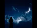 Midnight Dreary - Kirsten Agresta Copely