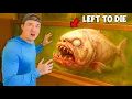 Buying an Abandoned Piranha and Transforming Its Home