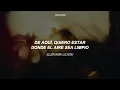 PARADISE - Forrest Frank (Sub Español)