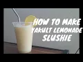 How to make Yakult Lemonade Slushie perfect for