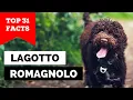 99 of Lagotto Romagnolo Owners Don t Know This