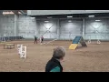 River Novice Standard AKC Agility 24 1st place Q