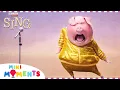 Download Lagu 1 Hour of Sing Pop Songs! 🎶 | Sing and Sing 2 🎤