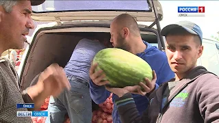 В Омске в продаже появились долгожданные арбузы