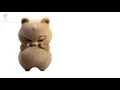 That s the end of our presentation hamster