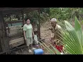 Download Lagu Awal Pagi Dah Ronda-ronda Sangkar B4bi//Bagi B4bi Makan dan Mandi
