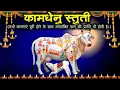 Download Lagu कामधेनु स्तुति II दूर कष्ट-कलेश II 03 TIMES II Removes trouble Kaamdhenu