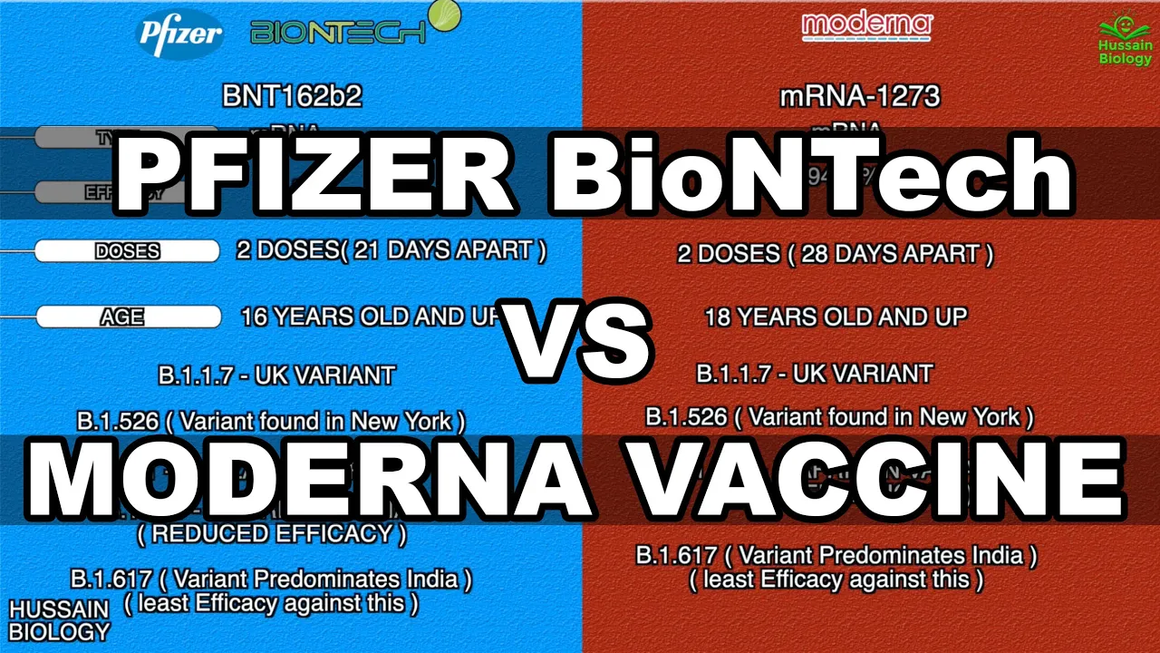 Pfizer BioNTech vs Moderna Vaccine