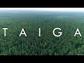 The Taiga Biome Boreal Forest - Biomes