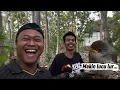 Download Lagu Update anakan burung prenjak lucu, lanjut mantau sarang baru lur 😁
