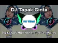 DJ TAPAK CINTA FULL BASS 2024 REMIX TERBARU